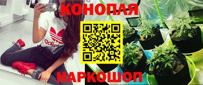соль ск Кимры
