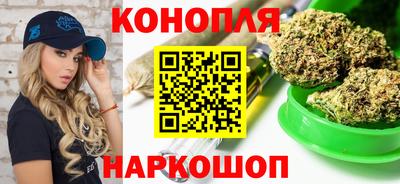 спиды Кингисепп