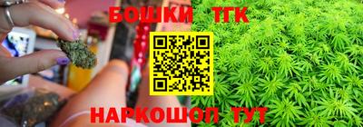 спиды Кингисепп