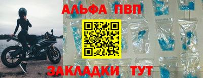 спиды Кингисепп