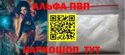 спиды Кингисепп