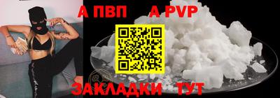 спиды Кингисепп