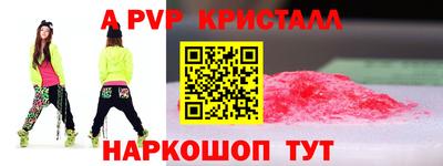 спиды Кингисепп