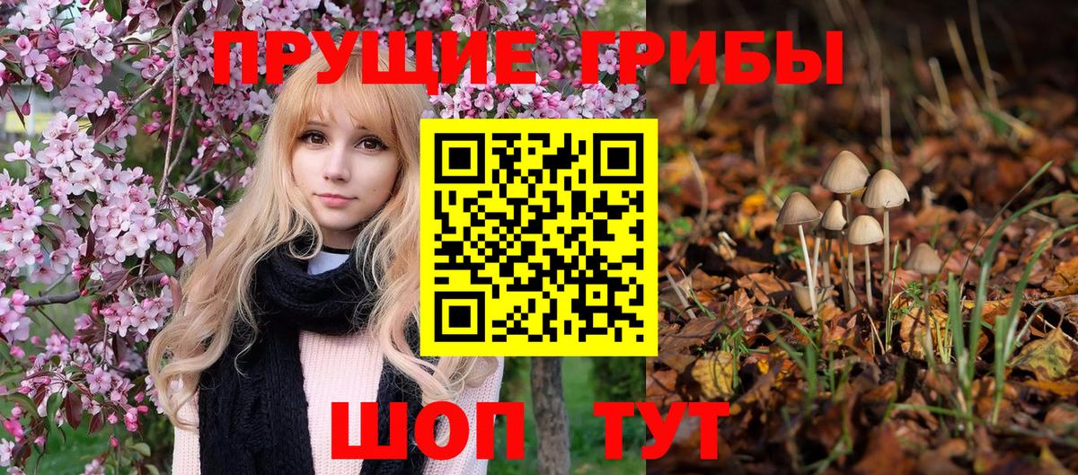 Галлюциногенные грибы MAGIC MUSHROOMS  купить закладку  Галлюциногенные грибы мицелий  Красноармейск  Вход с VPN 