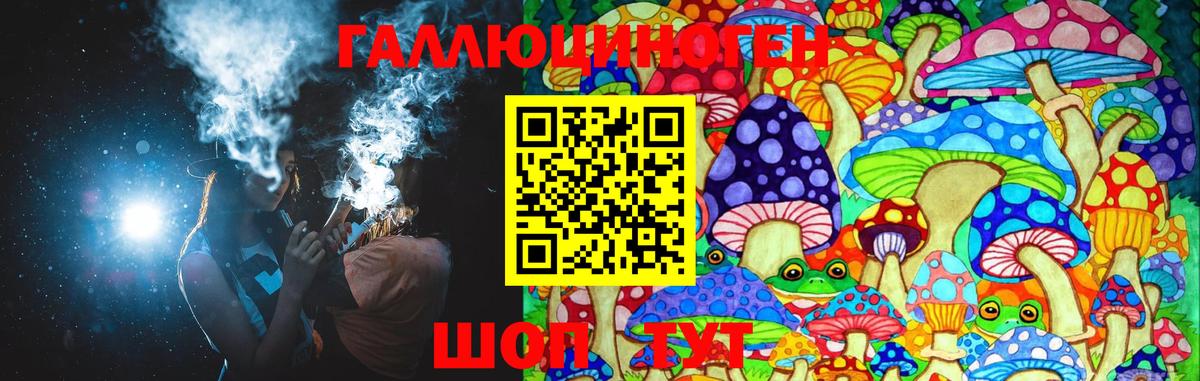 Галлюциногенные грибы Psilocybine cubensis Красноармейск