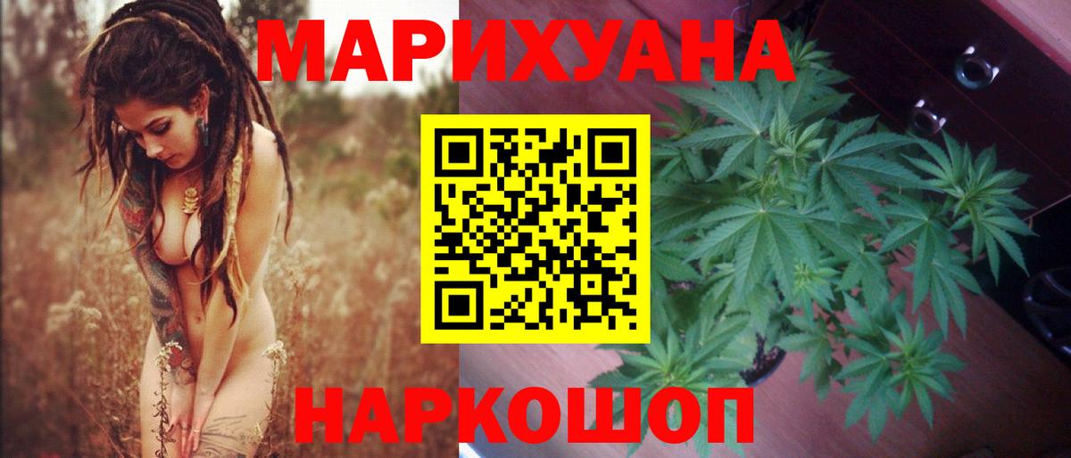 Конопля Bruce Banner Красноармейск